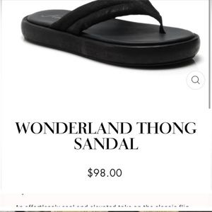 Free People Wonderland Thong Sandal Size 39 New in Box